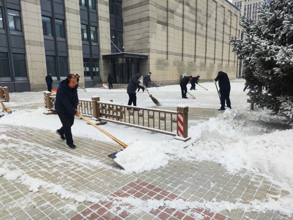 初雪降临寒意浓 扫雪铲冰保安全——自治区机关事务管理局组织开展清雪除冰活动4