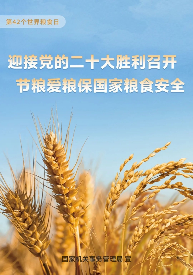 世界粮食日丨节粮爱粮在行动 公共机构做表率